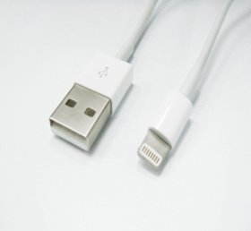 11103519 USB A公 ／ iPhone 5 1米