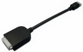 11106576 DisplayPort ／ DVI 20公分