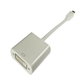 111065779 MINI DP To DVI 15CM