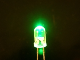 DL5W4A0 LED 5MM LED 白色發綠光