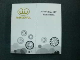 WI100MHZ152 CAT5E網路線152米