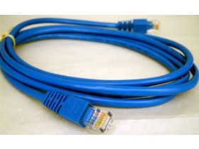WI100MHZ2 CAT5E網路線2米