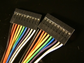 WI25421020A 2.54MM 10P雙頭杜邦線20CM