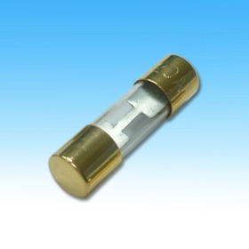 2096 AGU保險絲10x38mm