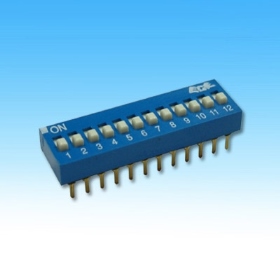 5109E 指撥開關12字