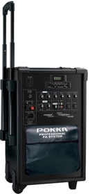 PA-80CA2 DPL 2CH (雙頻)