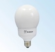 PP069U 電子式省電燈泡 21W 110V 白光