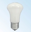 ZXQ-24 飛利浦真亮燈泡 110V 100W