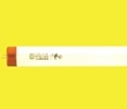 ZZ-31C 東亞太陽燈管 4尺 直管
